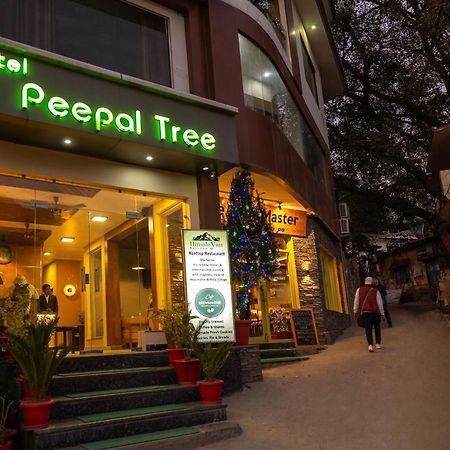 Hotel Peepal Tree Rishīkesh Exterior foto